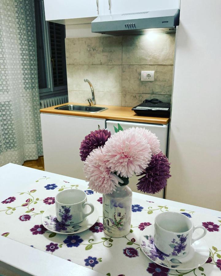 Apartman White House With Sauna And Jacuzzi 诺威萨 外观 照片