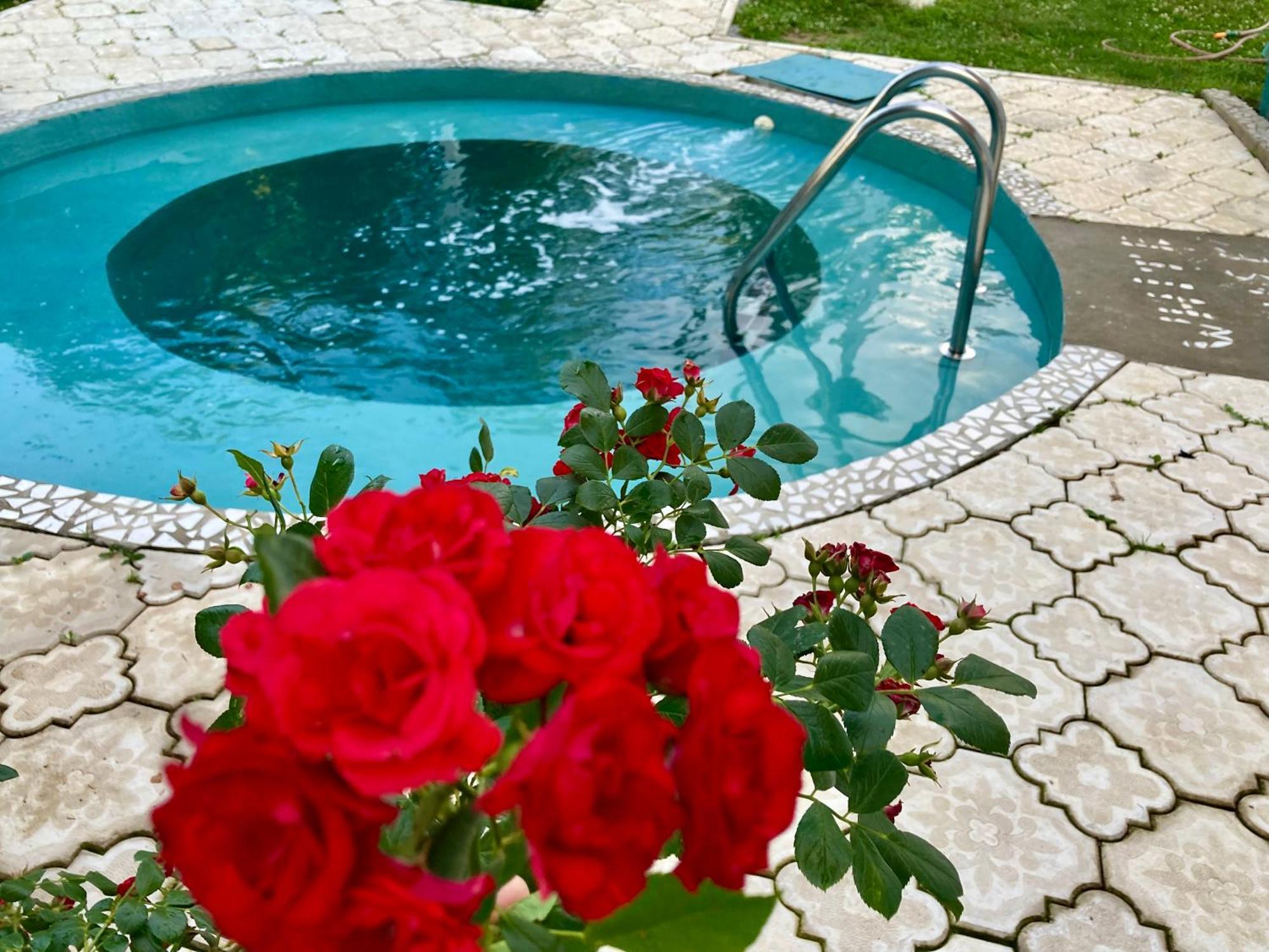 Apartman White House With Sauna And Jacuzzi 诺威萨 外观 照片